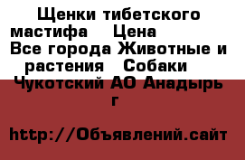 Щенки тибетского мастифа. › Цена ­ 30 000 - Все города Животные и растения » Собаки   . Чукотский АО,Анадырь г.